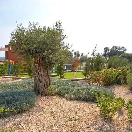 Beachfront Luxury Idania Ayía Nápa