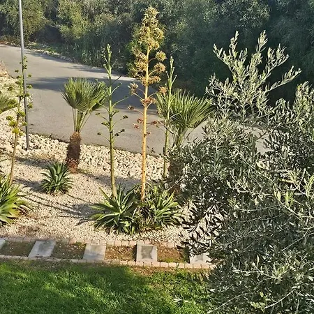 Beachfront Luxury Idania Villa Ayia Napa