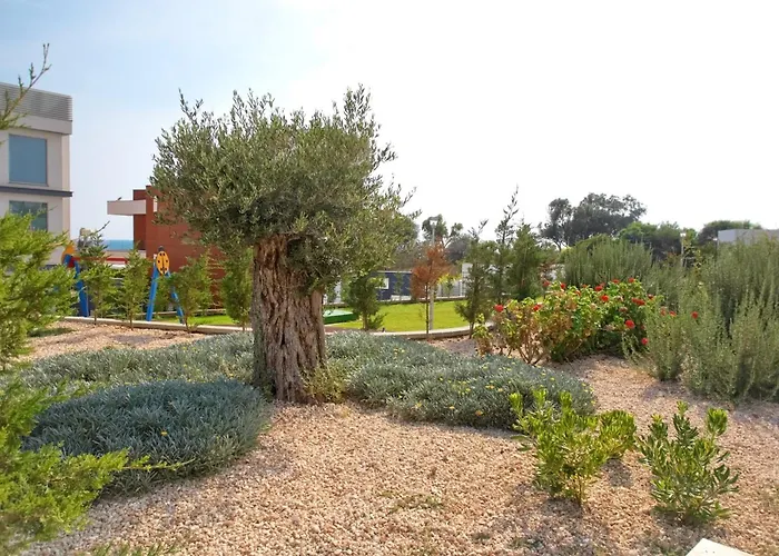 Beachfront Luxury Idania Agia Napa